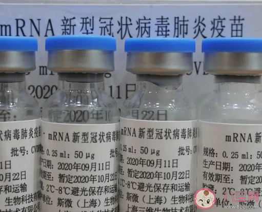 輝瑞疫苗是美國的還是德國的 滅活疫苗與mRNA疫苗有什么區別