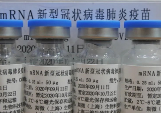 輝瑞疫苗是美國的還是德國的 滅活疫苗與mRNA疫苗有什么區別