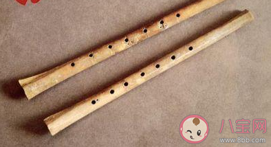 我國發現的最古老的樂器是什么 最新螞蟻莊園1月11日答案 我國發現的最古老的樂器是什么 最新螞蟻莊園1月11日答案