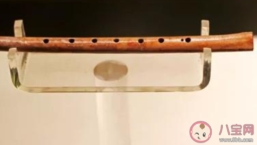 我國發現的最古老的樂器是什么 最新螞蟻莊園1月11日答案 我國發現的最古老的樂器是什么 最新螞蟻莊園1月11日答案