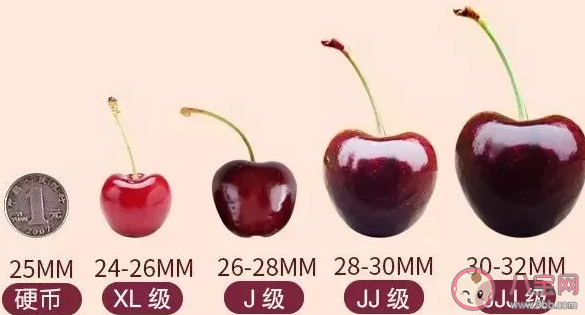 哪里產的車厘子最好吃 如何分辨車厘子品級