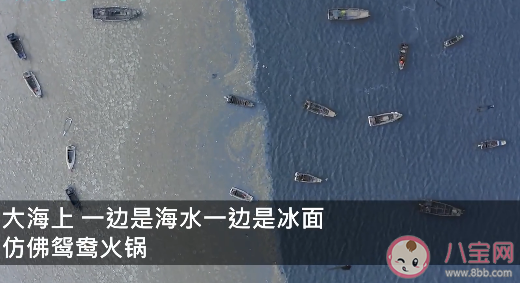 山東長島海邊現冰凍奇觀似鴛鴦鍋是怎么回事 長島有哪些好玩的地方 山東長島海邊現冰凍奇觀似鴛鴦鍋是怎么回事 長島有哪些好玩的地方