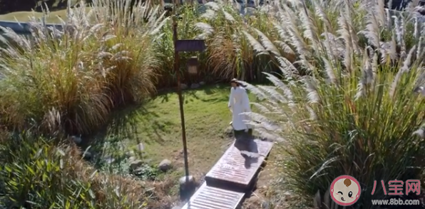 《上陽賦》子澹結局是什么 子澹最后和誰在一起了