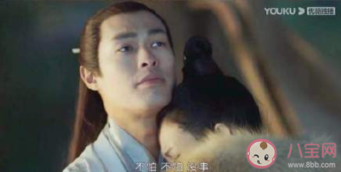 上陽賦三皇子結局是什么 子澹和胡瑤在一起了嗎 上陽賦三皇子結局是什么 子澹和胡瑤在一起了嗎