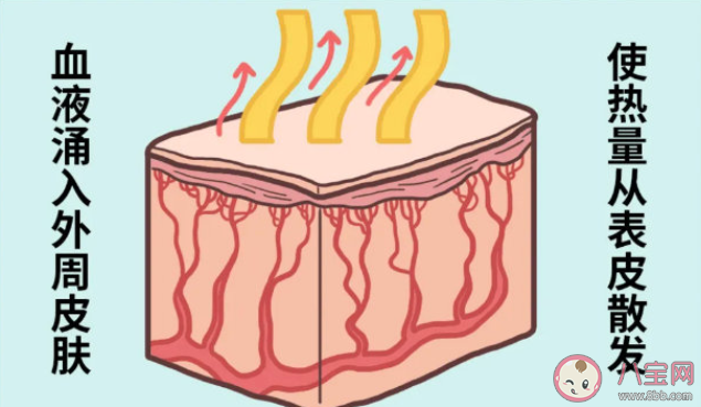 喝酒暖身說法正確嗎 喝酒為什么越喝越冷