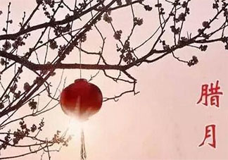 臘月初一的朋友圈心情說說 臘月到了的感受說說