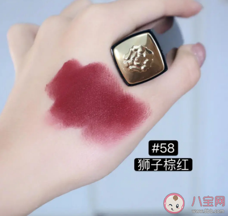 香奈兒獅子口紅237好不好看 香奈兒獅子口紅試色測評 香奈兒獅子口紅237好不好看 香奈兒獅子口紅試色測評