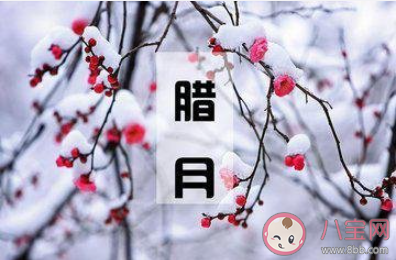 開始進入臘月的心情句子 臘月開始了的句子大全 開始進入臘月的心情句子 臘月開始了的句子大全