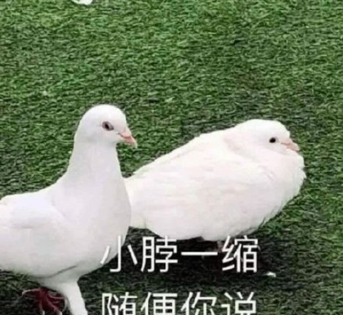 你是學什么的如何造句 你是學什么的套路句子大全