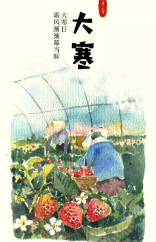 2021大寒節氣創意海報文案 各品牌大寒借勢海報大全