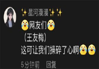 王友梅是什么梗什么意思 丁真王友梅梗的出處是什么