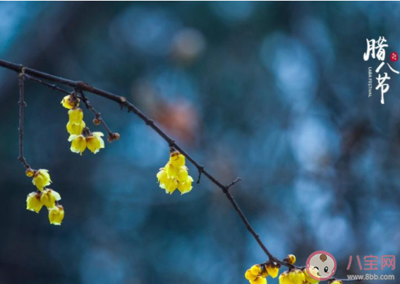 2021臘八節(jié)早安心語圖片說說句子 2021臘八節(jié)早上好帶字圖片說說 2021臘八節(jié)早安心語圖片說說句子 2021臘八節(jié)早上好帶字圖片說說