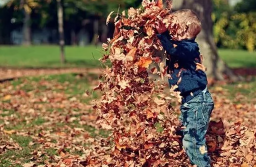 朋友圈不再曬娃的原因是什么 為什么曬娃越來越少了