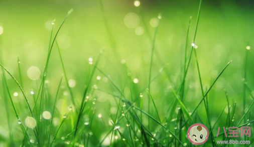 將桌面設成綠色可以保護視力嗎 螞蟻莊園1月15日答案