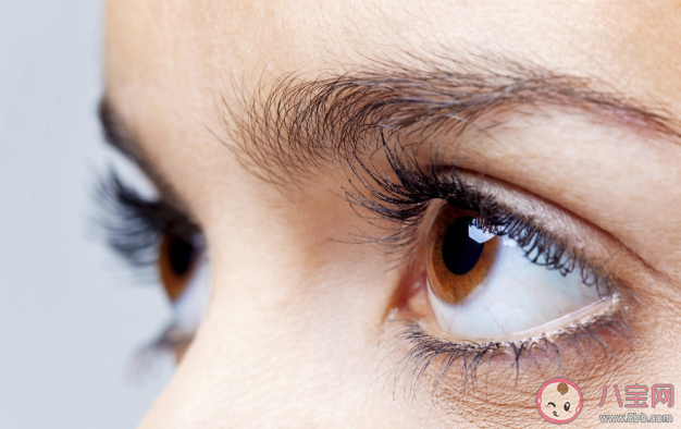 將電腦桌面設(shè)成綠色可以保護(hù)視力嗎 螞蟻莊園1月15日問題答案