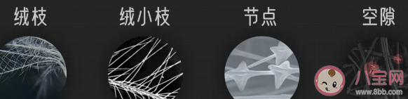 花萬元買羽絨服值得嗎 冬季羽絨服挑選指南