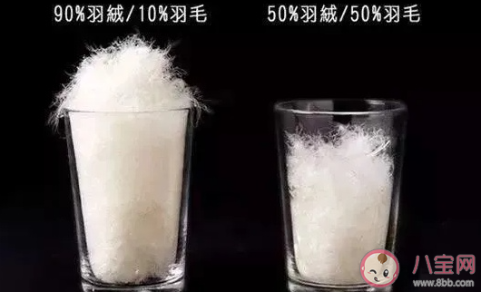 羽絨服什么毛的最保暖  防水羽絨還是常規羽絨哪個好