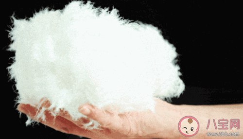 羽絨服什么毛的最保暖  防水羽絨還是常規羽絨哪個好