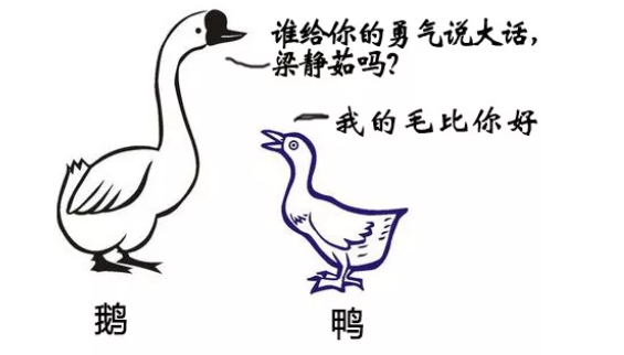 羽絨服鴨絨和鵝絨哪個好 鴨絨哪個保暖性好