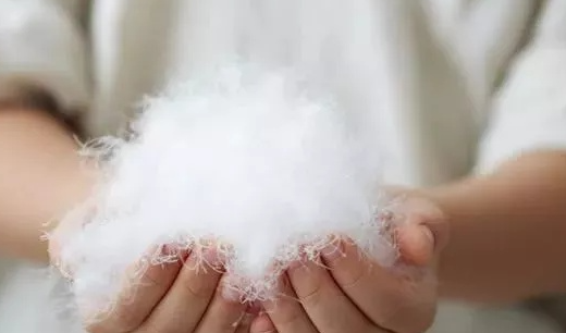 羽絨服鴨絨和鵝絨哪個好 鴨絨哪個保暖性好