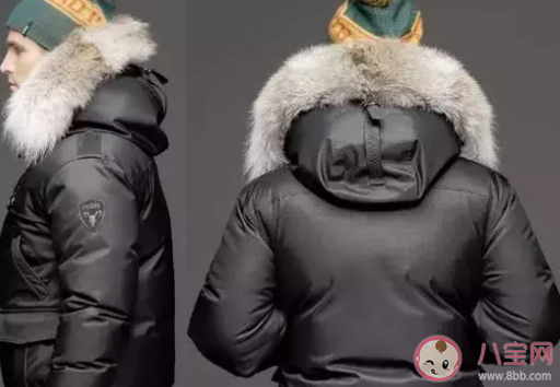 羽絨服是越厚重越保暖嗎 羽絨服保暖和哪些有關