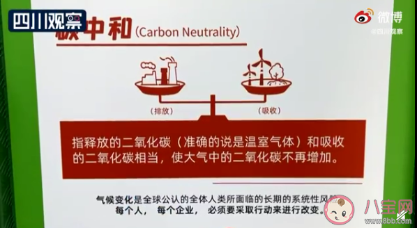 碳中和垃圾分類站怎么累積積分 累積碳中和怎么獲得收益