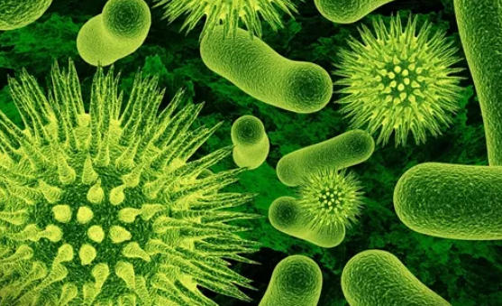 湖北核酸費用降價到多少錢 回湖北需要核酸檢測證明嗎