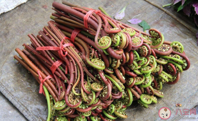 吃蕨菜會(huì)致癌嗎 蕨菜怎么正確食用
