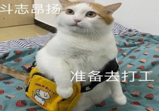 大學同學結婚祝福語朋友圈文案 大學室友結婚心情感慨