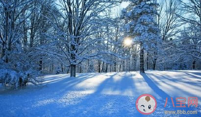 2021年的第一場雪祝福句子 新年第一場雪經典說說