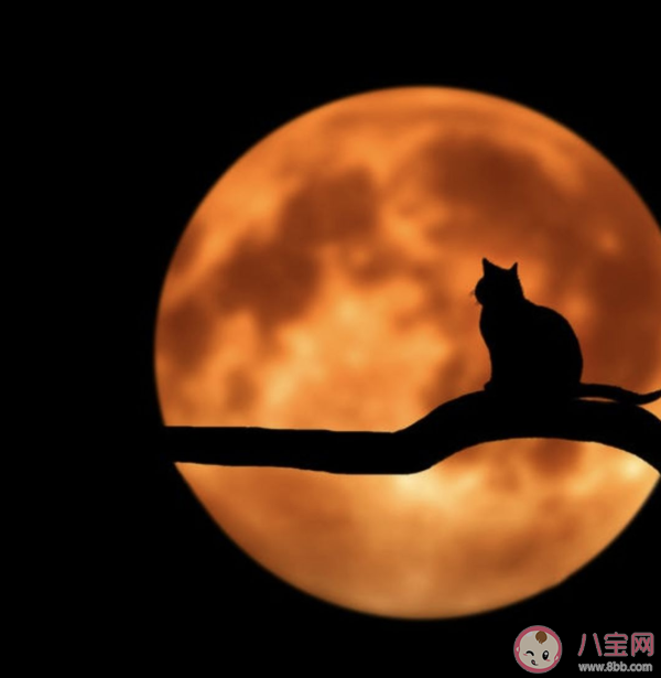 為什么人類會懼怕黑暗 非常怕黑怎么克服恐懼