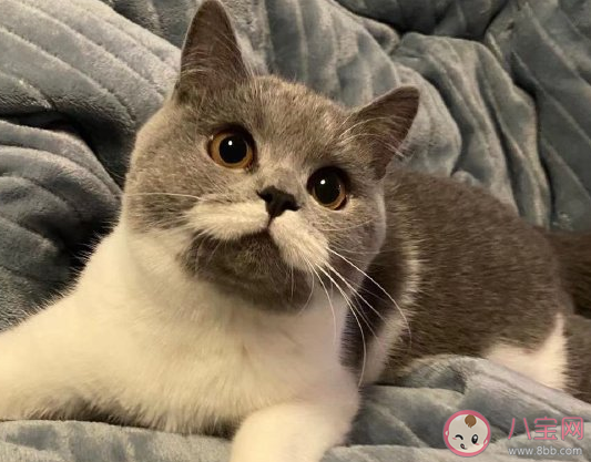 今年過年不回家的朋友圈說說 第一次過年不回家傷感句子 今年過年不回家的朋友圈說說 第一次過年不回家傷感句子