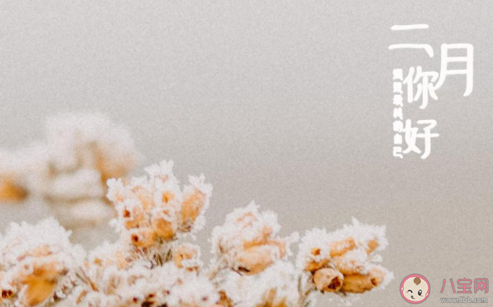 2021二月第一天你好二月的心情說說 2021二月第一天到來的朋友圈句子 2021二月第一天你好二月的心情說說 2021二月第一天到來的朋友圈句子