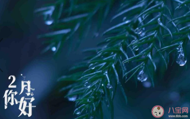 2021二月第一天你好二月的心情說說 2021二月第一天到來的朋友圈句子 2021二月第一天你好二月的心情說說 2021二月第一天到來的朋友圈句子