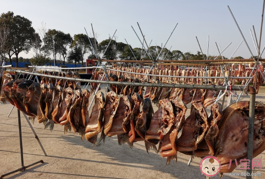 年貨已備好心情說說 辦年貨搞笑句子大全