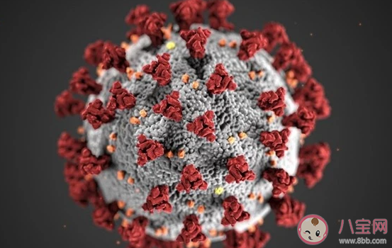 吉林1傳144是怎么回事 吉林超級傳播鏈再加長