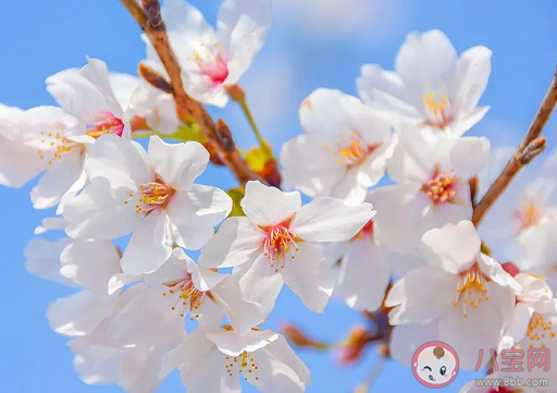 2021幼兒園立春節氣活動美篇總結 幼兒園立春節氣新聞稿三篇