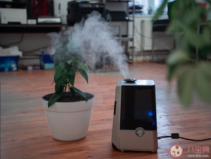 加濕器使用不當或致肺部損傷是怎么回事 使用加濕器注意事項