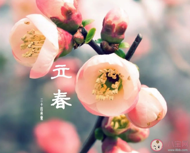 2021立春創(chuàng)意文案怎么寫 立春節(jié)氣特色文案示例分享