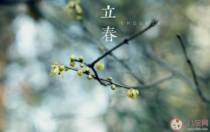 2021立春創(chuàng)意文案怎么寫 立春節(jié)氣特色文案示例分享