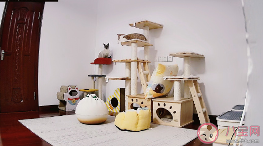 快回家過年的激動(dòng)人心的句子 忙碌一年回家過年感慨說說