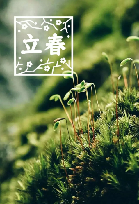 立春各品牌借勢海報文案創(chuàng)意 立春文案句子