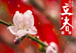 立春各品牌借勢海報文案創意 立春文案句子