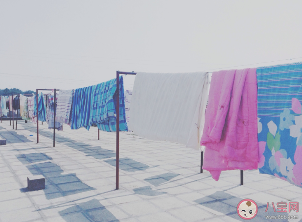 傳染病多發季節隔著玻璃窗曬被子效果會怎樣 螞蟻莊園小課堂1月26日答案 傳染病多發季節隔著玻璃窗曬被子效果會怎樣 螞蟻莊園小課堂1月26日答案