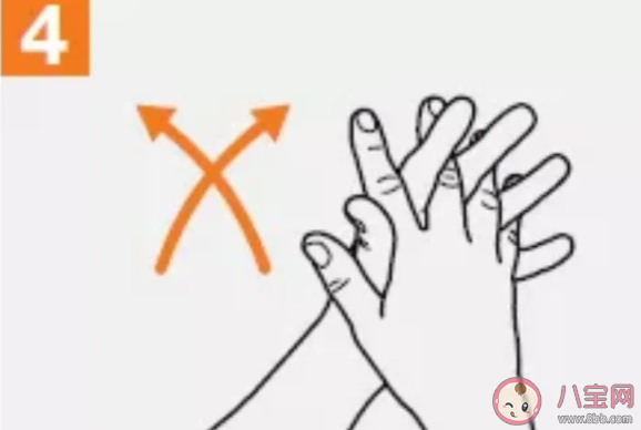 免洗手消毒液需20秒以上作用時間 免洗手消毒液使用步驟 免洗手消毒液需20秒以上作用時間 免洗手消毒液使用步驟