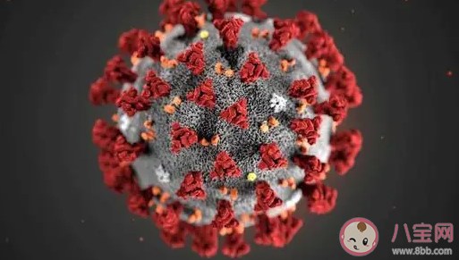 為什么核酸檢測前不能抽煙喝酒 檢測前半小時不能嚼口香糖嗎 為什么核酸檢測前不能抽煙喝酒 檢測前半小時不能嚼口香糖嗎