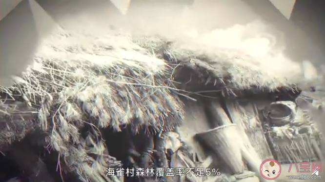 現實版山海情是怎樣的 《山海情》中的閩寧村真實存在嗎