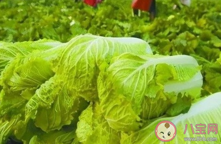 2021年白菜為什么突然漲價了 白菜什么時候降價