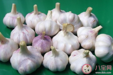 吃大蒜是否也能有效預防新冠病毒 螞蟻莊園1月26日答案 吃大蒜是否也能有效預防新冠病毒 螞蟻莊園1月26日答案