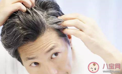 白頭發越拔越多是真的嗎 有白頭發拔了有什么害處 白頭發越拔越多是真的嗎 有白頭發拔了有什么害處